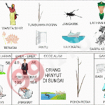 Prediksi North Carolina Day / CD Rabu 29 Januari 2025